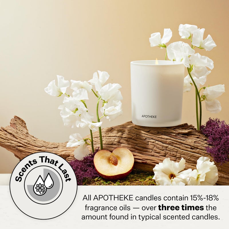 Apotheke 3-Wick Scented Candles for Home, Sea Salt Grapefruit - 26 oz Soy Wax Jar Candle Gift for Women - Long-Lasting Fragrance with Perfume-Grade Essential Oils - Pepper, Dew Drops & Tarragon - Image 4